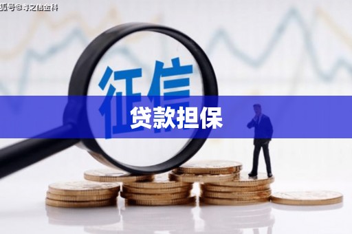 皇姑贷款担保