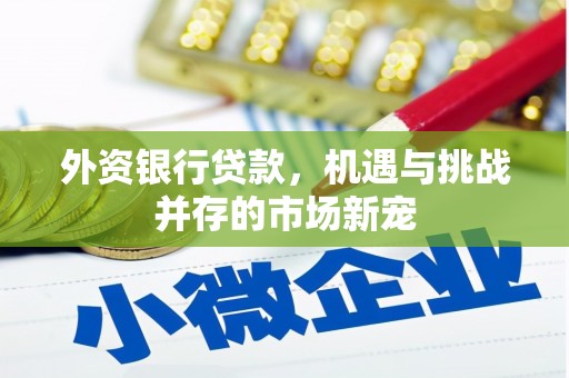 卑南外资银行贷款，机遇与挑战并存的市场新宠
