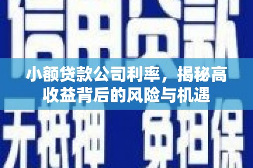 裕华小额贷款公司利率，揭秘高收益背后的风险与机遇