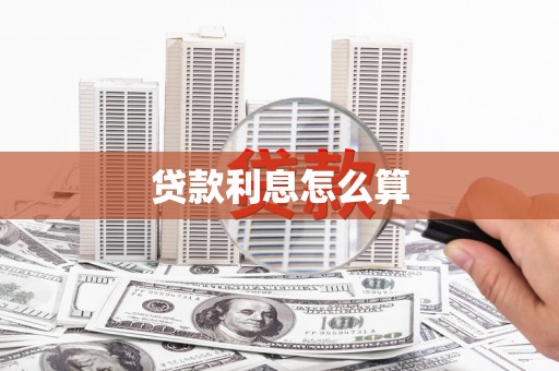 公安贷款利息怎么算