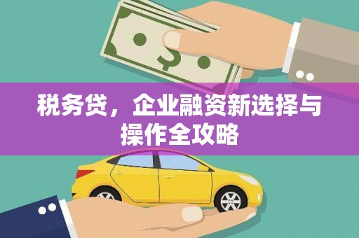 旬阳税务贷，企业融资新选择与操作全攻略
