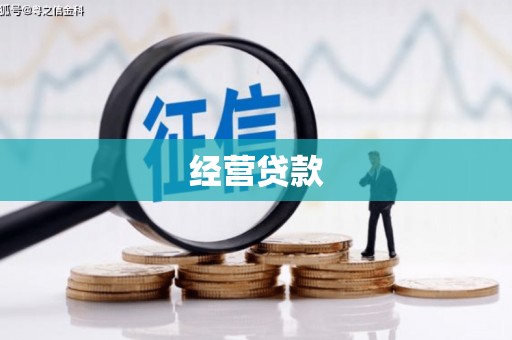 太保经营贷款