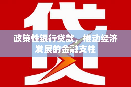 圣方济各堂区政策性银行贷款，推动经济发展的金融支柱