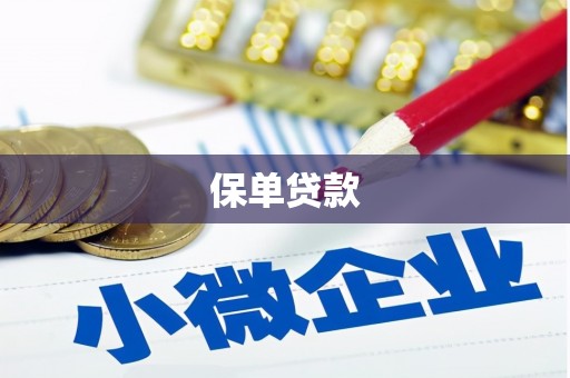 冷水江保单贷款