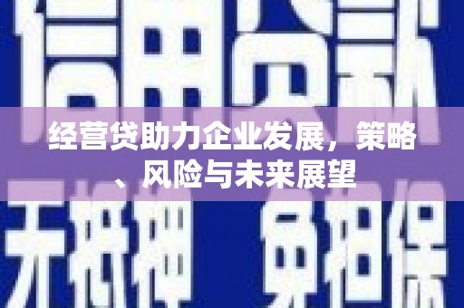 剑阁经营贷助力企业发展，策略、风险与未来展望