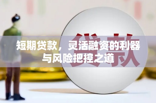 大洼短期贷款，灵活融资的利器与风险把控之道