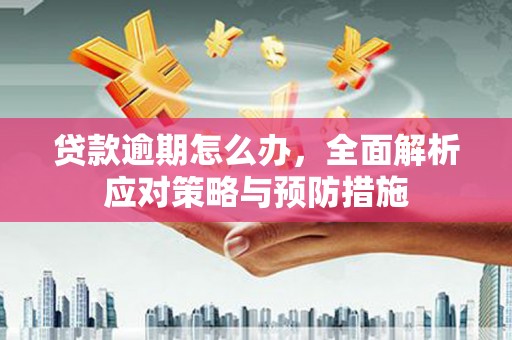 伊宁贷款逾期怎么办，全面解析应对策略与预防措施