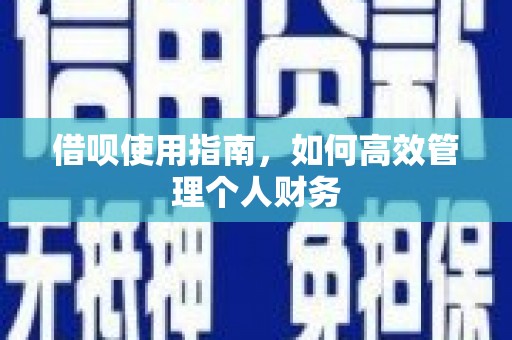 新蔡借呗使用指南，如何高效管理个人财务