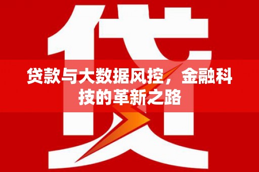 义马贷款与大数据风控，金融科技的革新之路