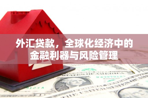 色达外汇贷款，全球化经济中的金融利器与风险管理