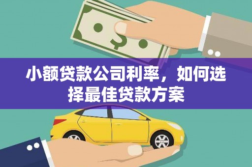 南丹小额贷款公司利率，如何选择最佳贷款方案