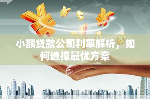 巧家小额贷款公司利率解析，如何选择最优方案