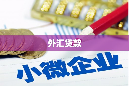 宁乡外汇贷款