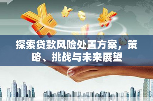 屏南探索贷款风险处置方案，策略、挑战与未来展望