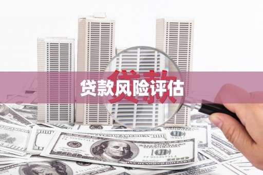 潘集贷款风险评估