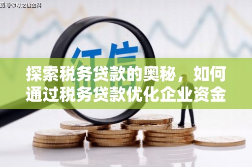 北仑探索税务贷款的奥秘，如何通过税务贷款优化企业资金流
