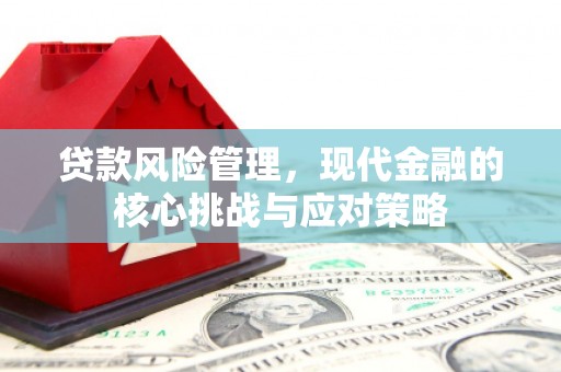 麟游贷款风险管理，现代金融的核心挑战与应对策略