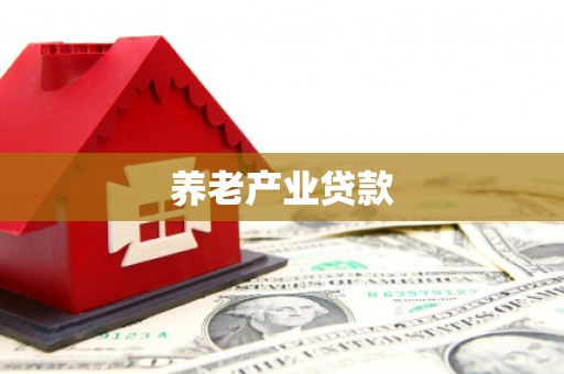 右江养老产业贷款
