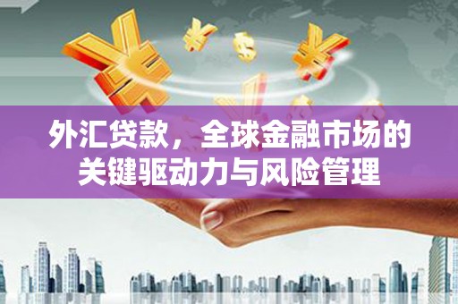 睢宁外汇贷款，全球金融市场的关键驱动力与风险管理