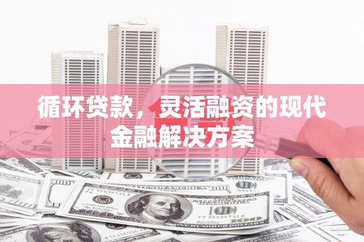 镇雄循环贷款，灵活融资的现代金融解决方案