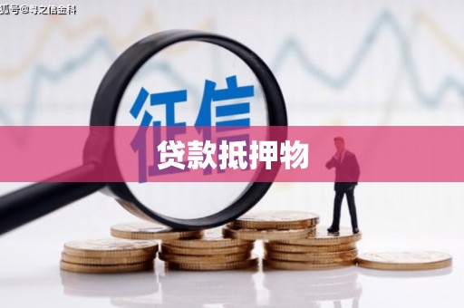 红星贷款抵押物