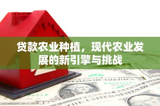 罗田贷款农业种植，现代农业发展的新引擎与挑战