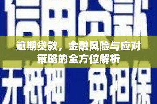 新晃逾期贷款，金融风险与应对策略的全方位解析