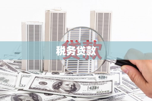 镇原税务贷款