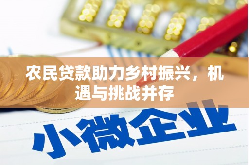 顺城农民贷款助力乡村振兴，机遇与挑战并存