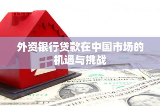 滁州外资银行贷款在中国市场的机遇与挑战
