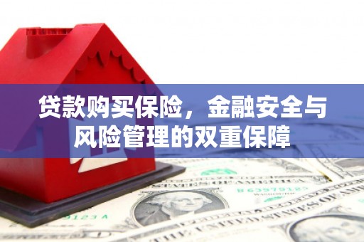 克孜勒苏柯尔克孜贷款购买保险，金融安全与风险管理的双重保障