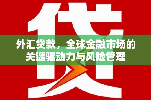 岱山外汇贷款，全球金融市场的关键驱动力与风险管理