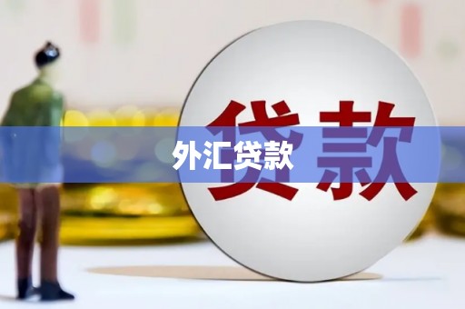 治多外汇贷款