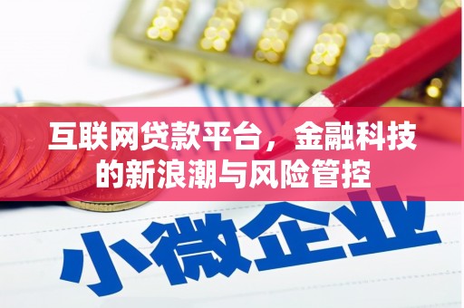 信州互联网贷款平台，金融科技的新浪潮与风险管控
