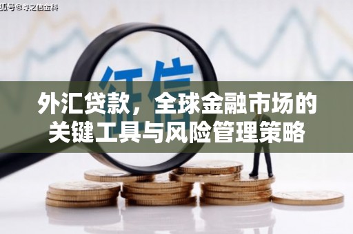 洛川外汇贷款，全球金融市场的关键工具与风险管理策略