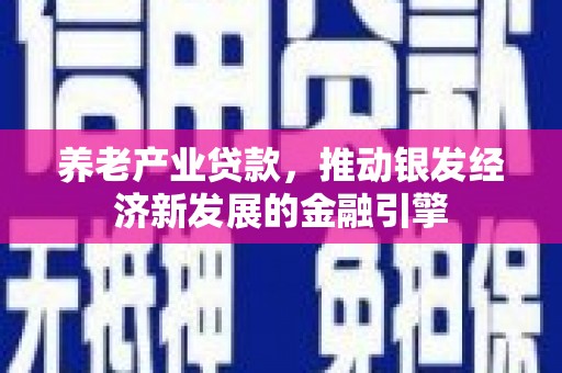 盐源养老产业贷款，推动银发经济新发展的金融引擎