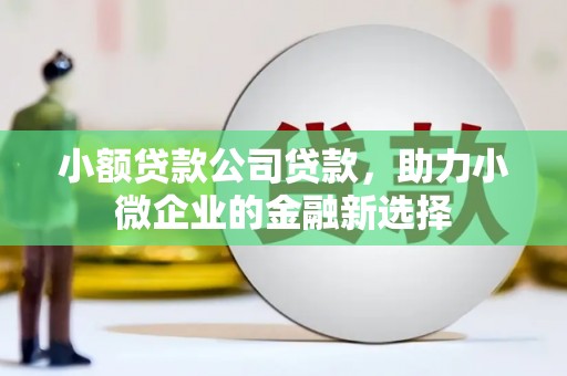 明光小额贷款公司贷款，助力小微企业的金融新选择