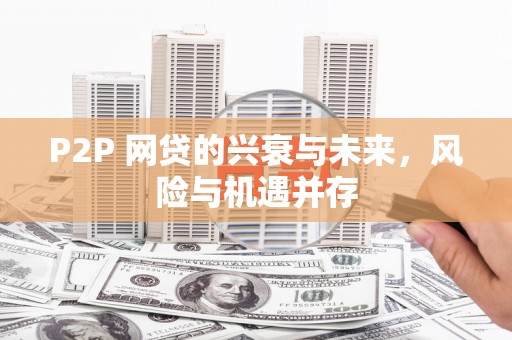 中卫P2P 网贷的兴衰与未来，风险与机遇并存
