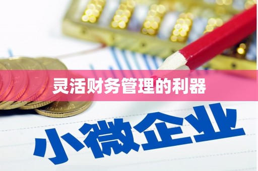 江宁灵活财务管理的利器