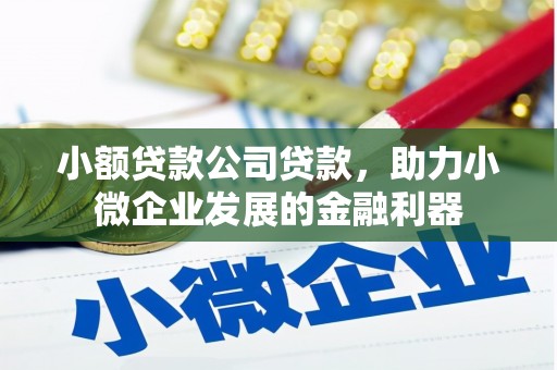张家港小额贷款公司贷款，助力小微企业发展的金融利器