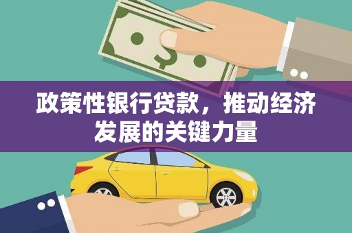 岷县政策性银行贷款，推动经济发展的关键力量