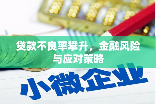 抚州贷款不良率攀升，金融风险与应对策略