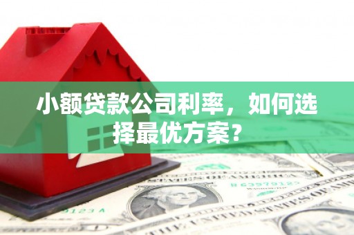 西和小额贷款公司利率，如何选择最优方案？