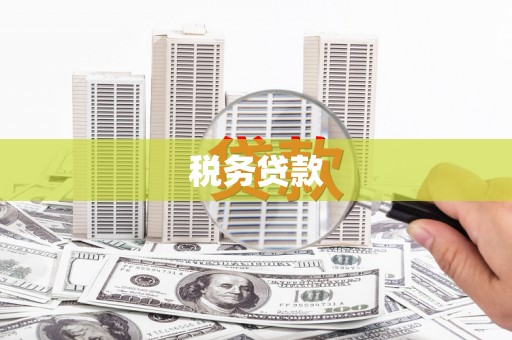 红星税务贷款