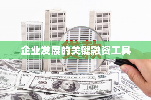 丰原企业发展的关键融资工具