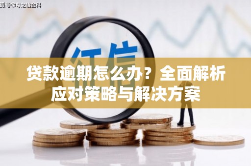 临淄贷款逾期怎么办？全面解析应对策略与解决方案