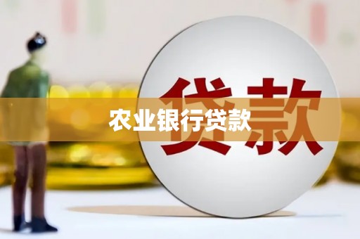 江津农业银行贷款