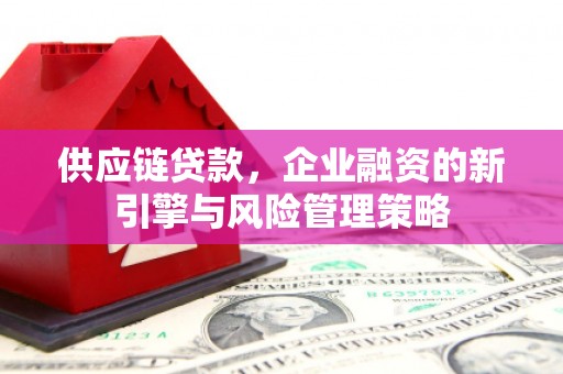 南海供应链贷款，企业融资的新引擎与风险管理策略