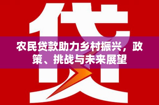 朔州农民贷款助力乡村振兴，政策、挑战与未来展望