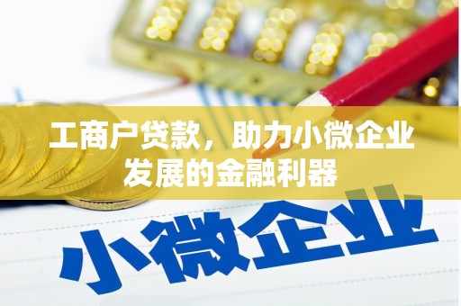 多伦工商户贷款，助力小微企业发展的金融利器
